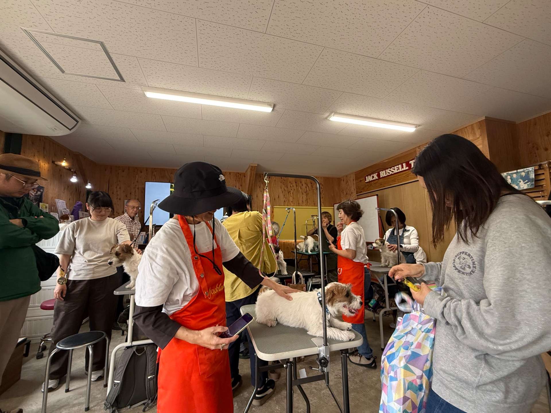 プラッキング講習会