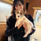 わたまるクン.ノエちゃん.レグルスくんのお迎え。